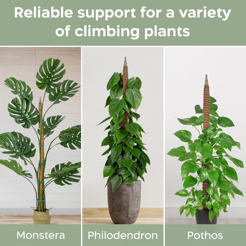 K-Brands Moss Pole - 46'' Monstera Plant Support - Plant Trellis Moss Pole for Plants Monstera - Moss Poles for Climbing Plants - Plant Sticks Support Plant Stakes for Indoor Plants Potted - Image 4